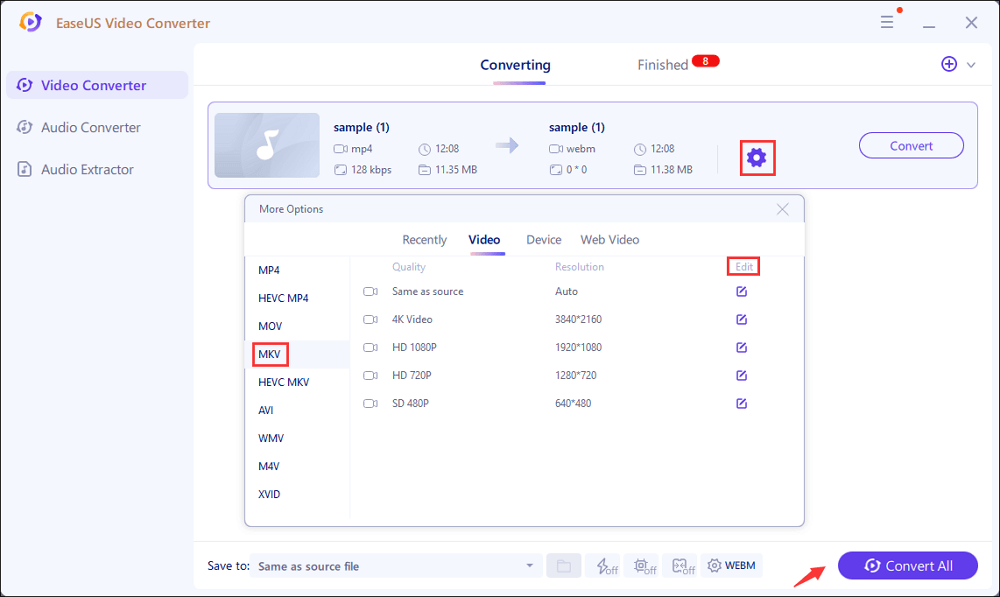 video mkv format