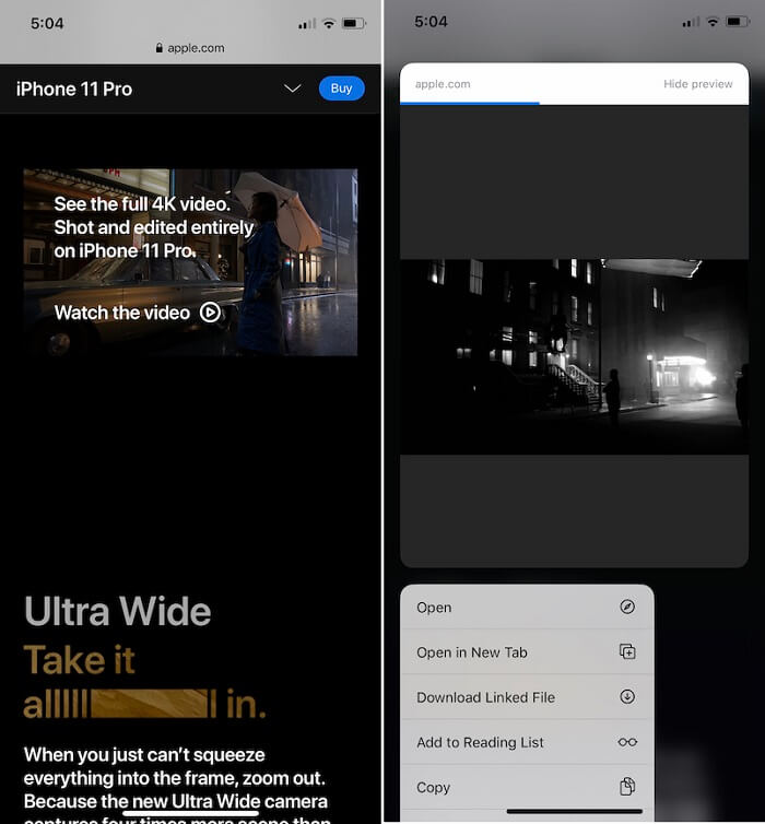 download video from safari